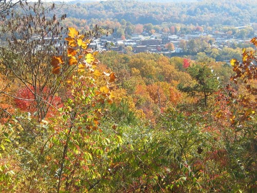 Harriman, TN: RIDGEWOOD RD ABOVE HARRIMAN,TN