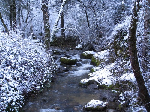 Ashland, OR: Winter Wonderland in Lithia Park