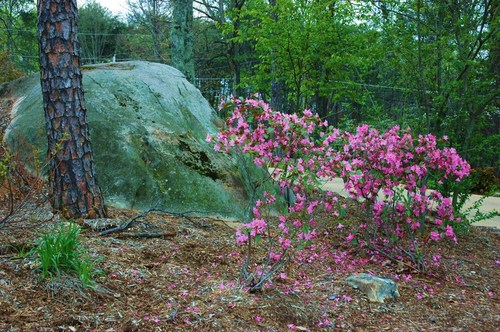 Signal Mountain, TN: Signal Mountain