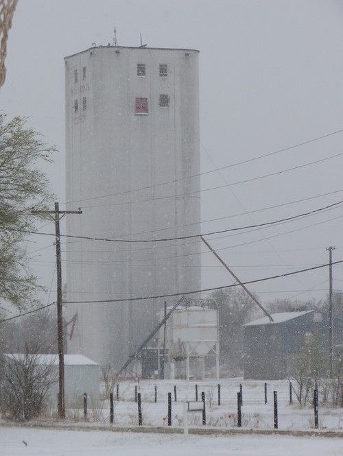 Waukomis, OK Waukomis Coop March 2009 Winter Storm photo, picture