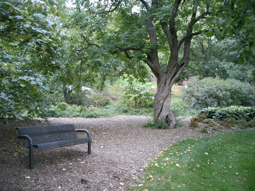 St. Paul, MN : Nice spot to relax on the University of Minnesota St ...