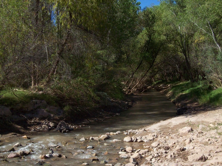 Dudleyville, AZ : san pedro river photo, picture, image (Arizona) at