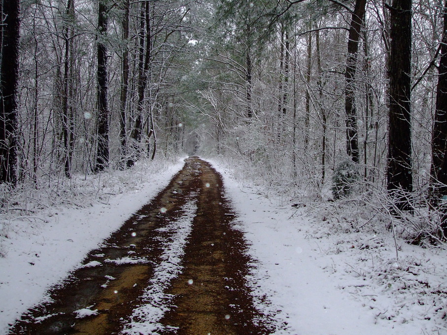 Moody, AL: Snow on the 1st day of April Moody Alabama (Blue Hole )
