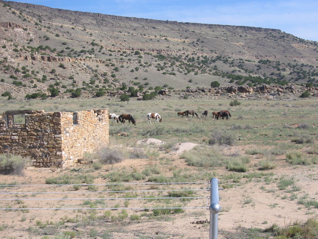 Laguna, NM: Just off Historic Rte. 66 as seen from our back yard.
