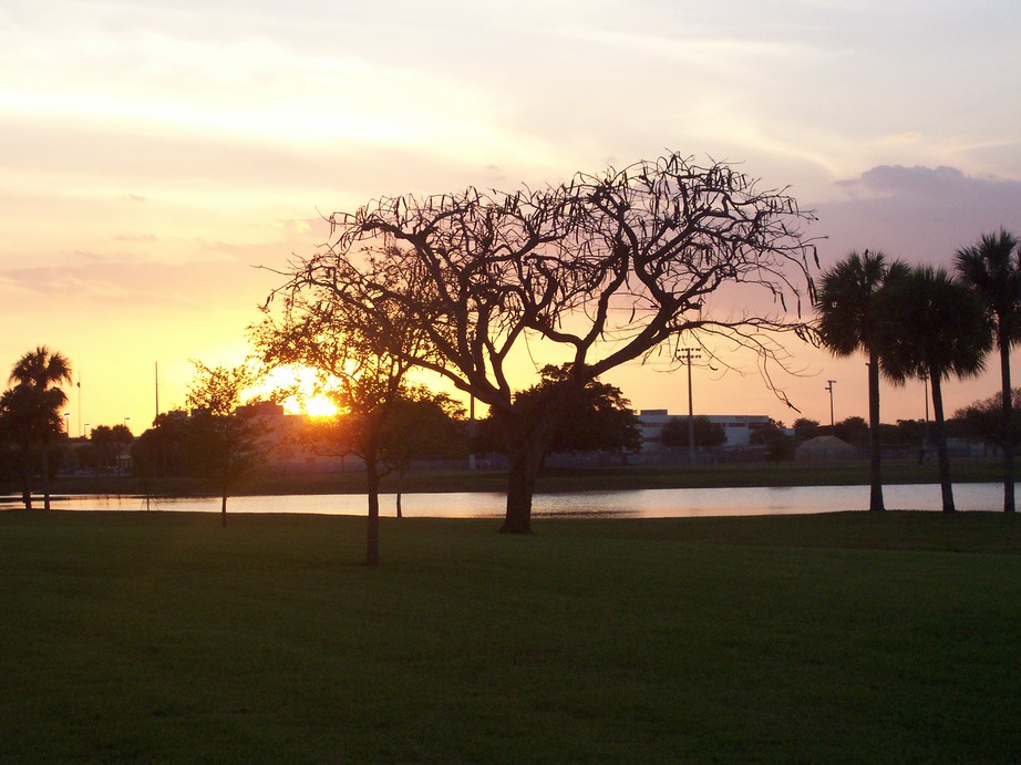 The Hammocks, FL: An Inspiring Sunrise at the Hammocks