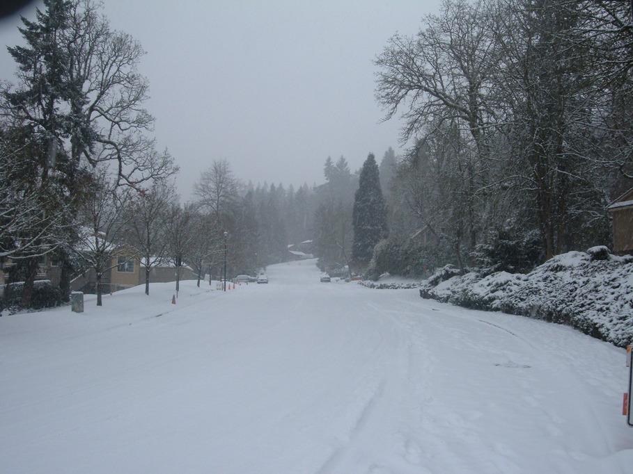 West Linn, OR Hidden Springs Rd. Dec. 2008 snow storm photo, picture