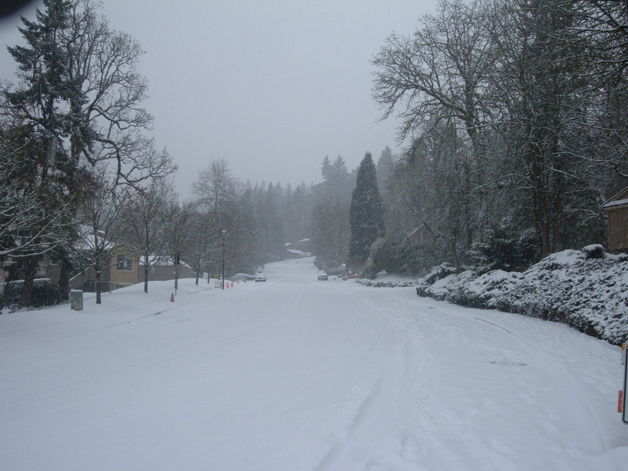West Linn, OR: Hidden Springs Rd. Dec. 2008 snow storm
