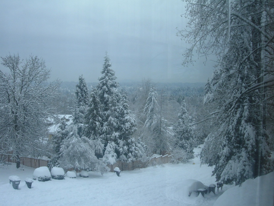 West Linn, OR: West Linn neighborhood. Dec. 2008 snow storm