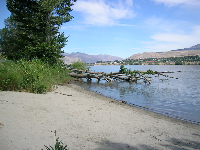 Wenatchee, WA: Looking North on the Columbia River at Wenatchee Riverfront Park