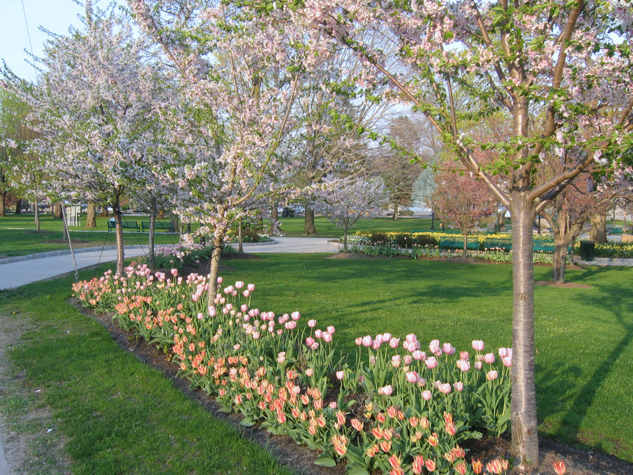 Torrington, CT: Downtown Torrington's Coe Park in Springtime