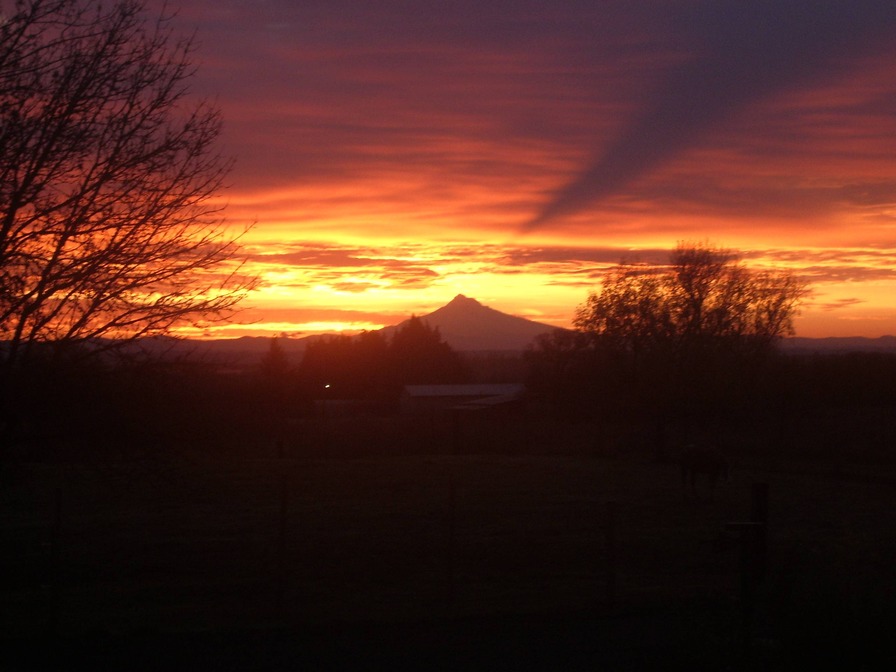Scappoose, OR: Mt. Hood Sunrise