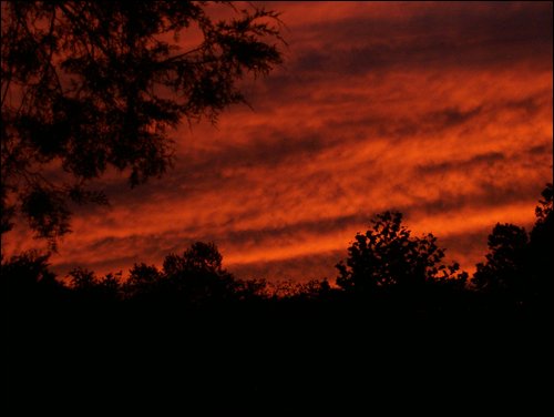 Robbinsville, NC: A photo my son's friend snapped while the sun was setting near his home using MY camera. If only I could take credit.