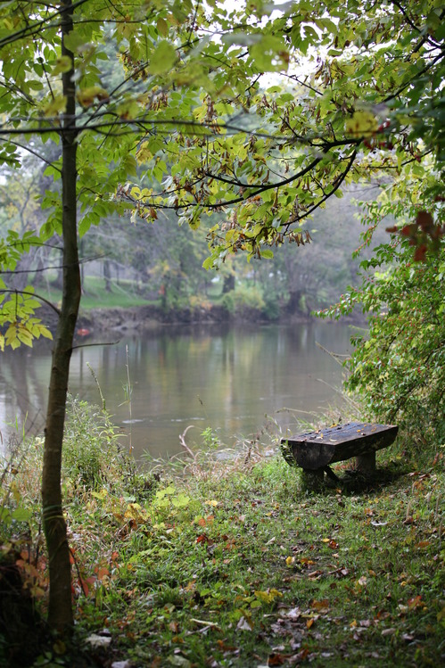 Owosso, MI: Bench Along the SAhiawasse River in Owosso