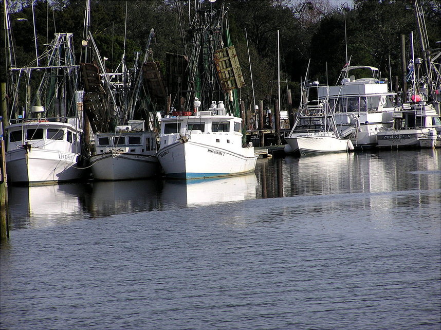McClellanville, SC: Shrimp Boats, McCleelanville, Harbor, SC