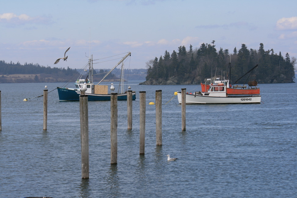 Lubec, ME Boats in Lubec photo, picture, image (Maine) at