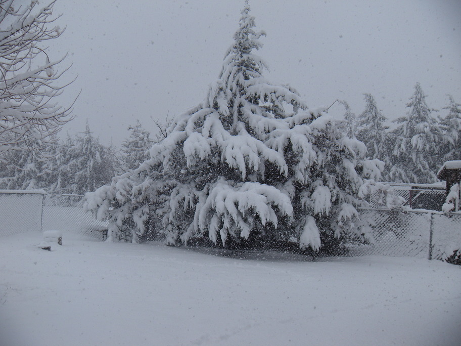 Hesperia, CA Snow in Hesperia CA photo, picture, image (California