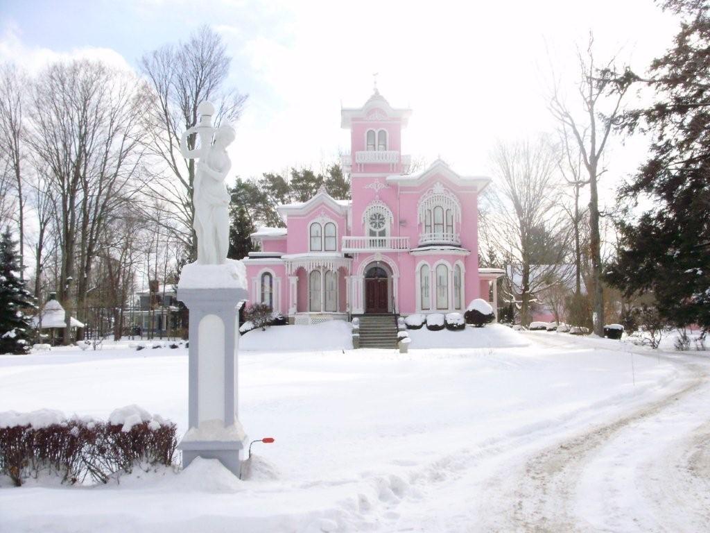 Wellsville, NY: The Pink House, Wellsville, NY on my visit, winter of 2008