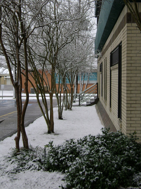 Luling, LA: Snow 2009 at St. Charles Parish Hospital in Luling, La