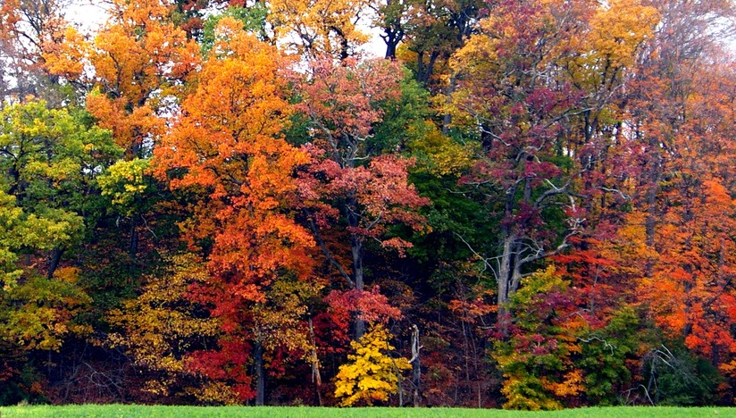 Chester, NY: Fall time in Chester, New York
