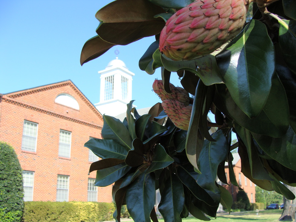 Hernando, MS: DeSoto County Courthouse in Hernando