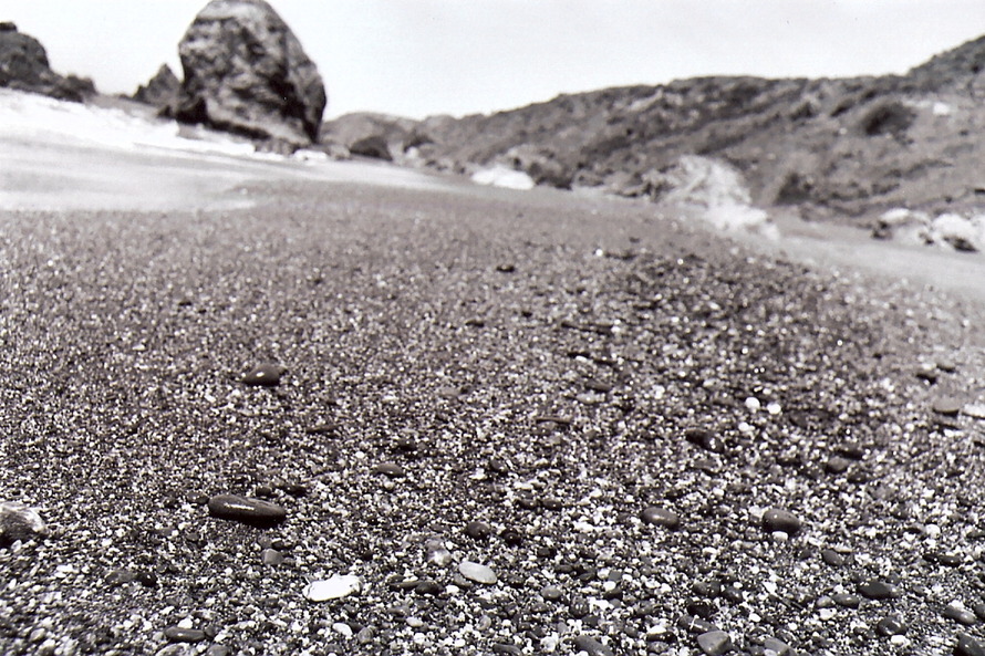 Bodega Bay, CA: Some rocks on the beach at Goat Rock Beach in Bodega Bay