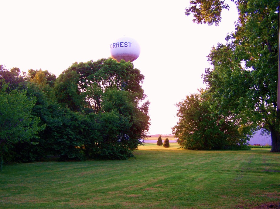Forrest, IL Forrest Water Tower, (looking NW) photo, picture, image