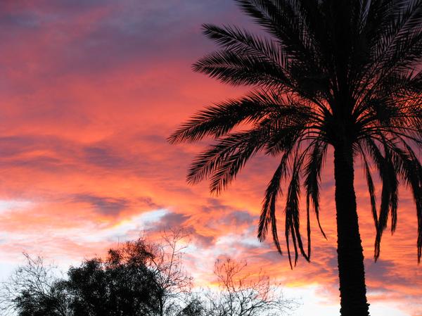 South Tucson, AZ: Sunset