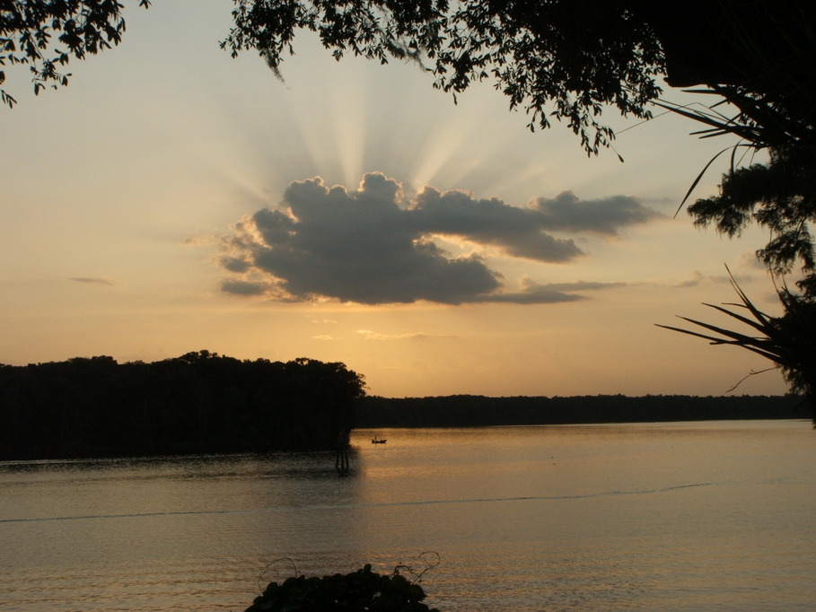 Welaka, FL: Sunset on the St John's River from a house in Welaka, FL