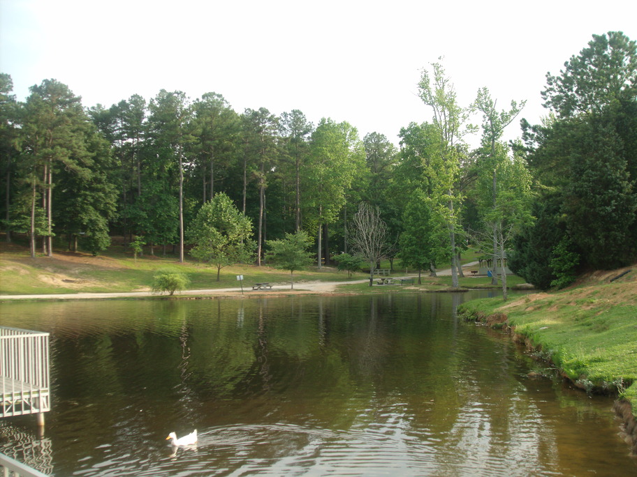 Douglasville, GA: Deer Lick Park, Douglasville, GA