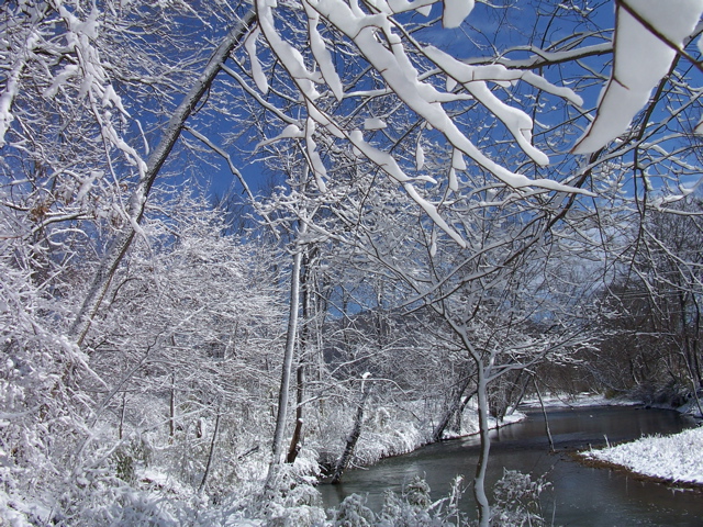 Swannanoa, NC: Swannanoa River Snow Scene