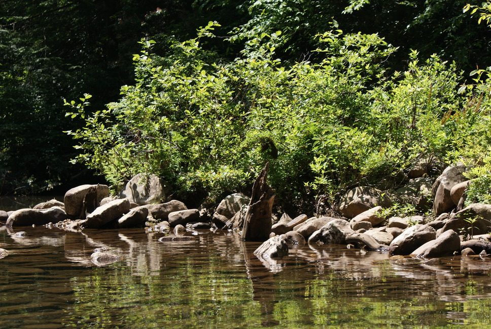 Soddy-Daisy, TN: shadows