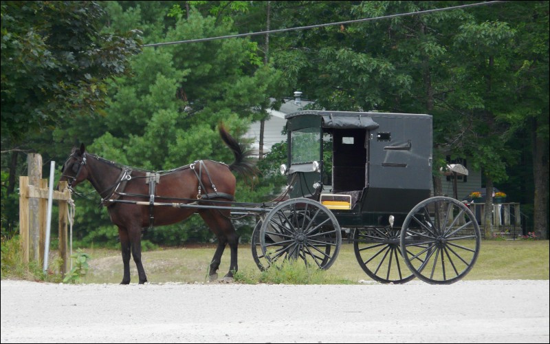 Ossineke, MI: Amish culture is often evident in and around Ossineke