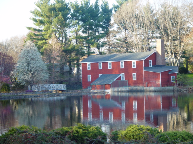 Bergenfield, NJ: Coopers Pond, Coopers Park: Entitled "Reflections"