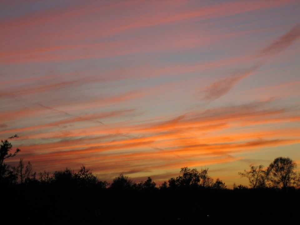 Picayune, MS: Mother Nature's paint brush, one cold night in Picayune