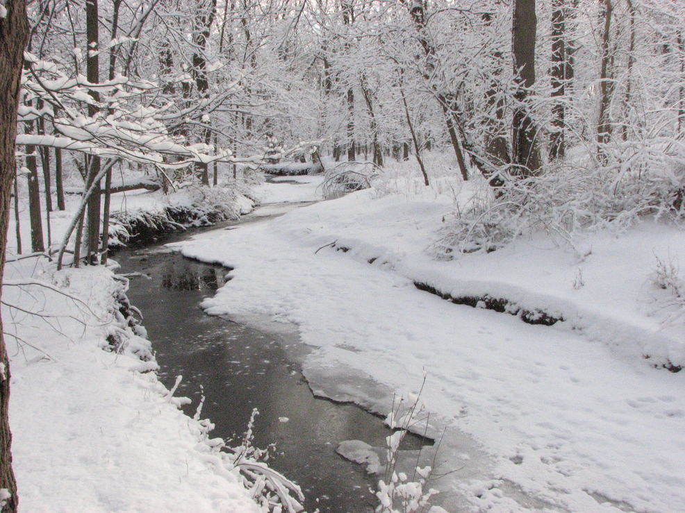 Madison, NJ: Winter at Memorial Park
