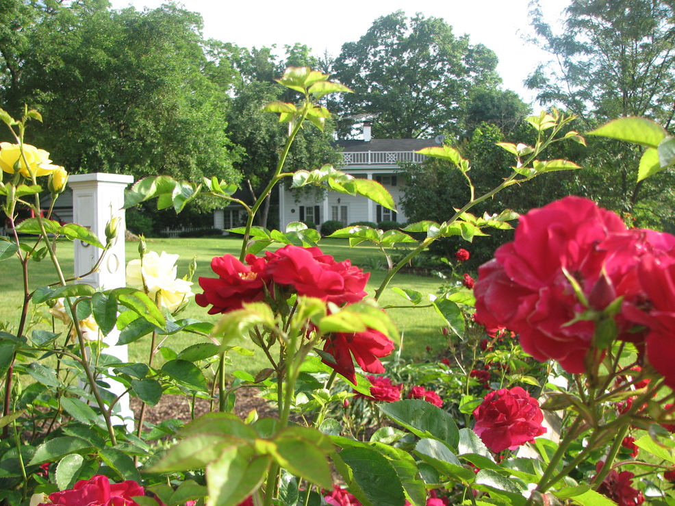 Madison, NJ: House in the "Rose City" (Madison, NJ)