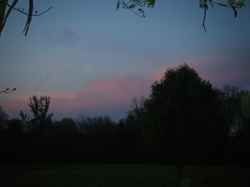 Lewisburg, KY: My son saw the sky and took this picture.