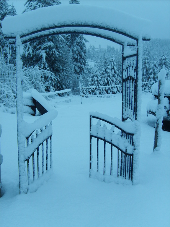 Yoncalla, OR to winter on a farm in yoncalla photo, picture