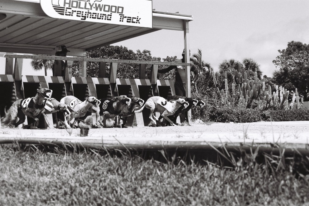 Hollywood, FL: The Dog Track on Pembroke and US1