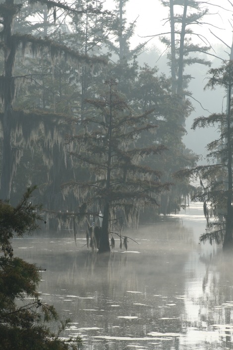 Yazoo City, MS: Yazoo City's most popular fish spot - Gordon Avenue & Highway 3, Yazoo City, MS