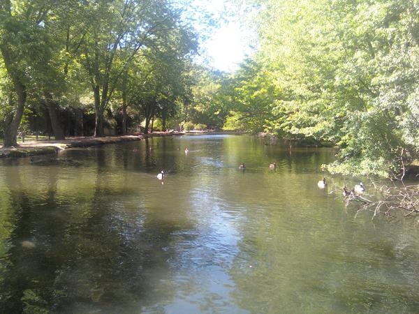 Bridgeton, NJ: Cohansey River at the Cohanzick Zoo, Bridgeton, NJ