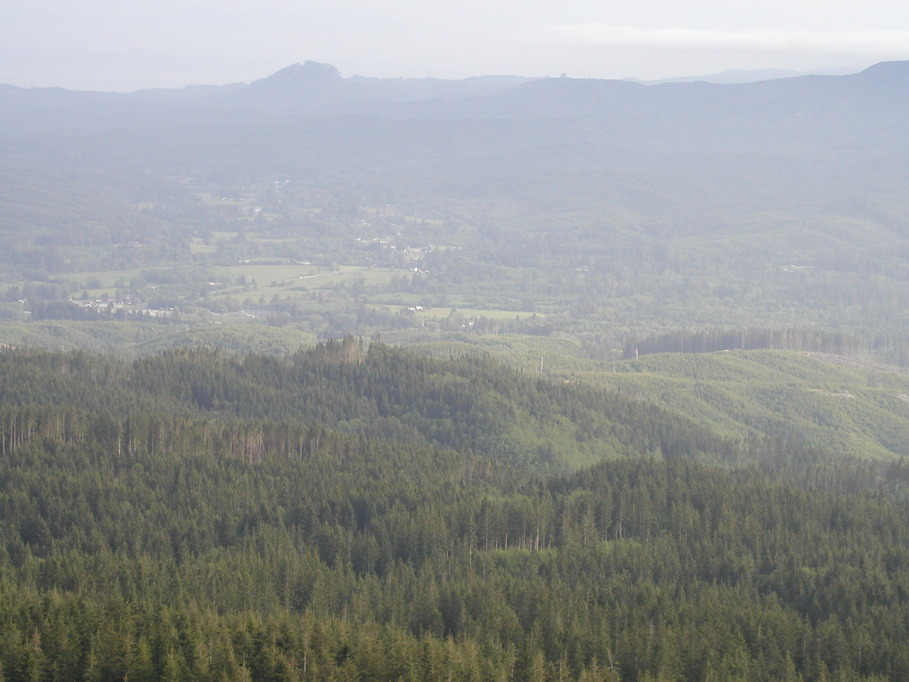 Naselle, WA: Naselle, WA as seen looking South from the top of Radar Hill. The white speck in the middle is the location from which photo #6061383 was shot with an Olympas 10X Optical Zoom. Saddle Mountain behind Astoria OR can be seen in the background.