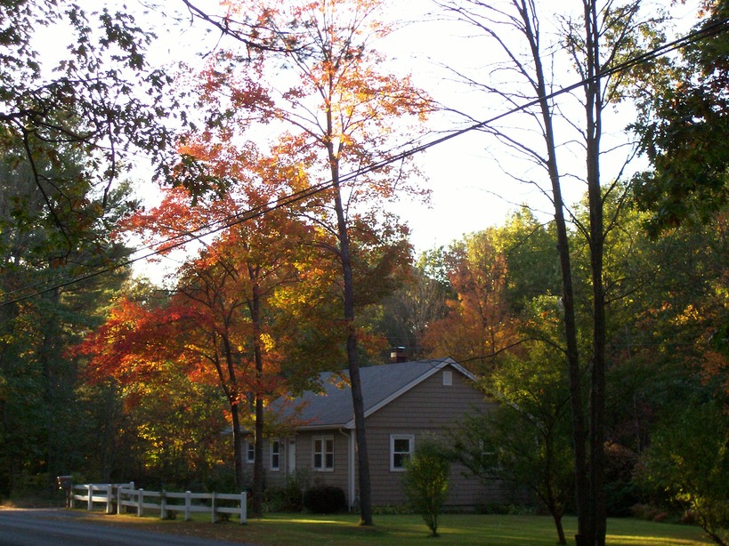 Swanzey, NH: Fall Foliage off Eaton Road