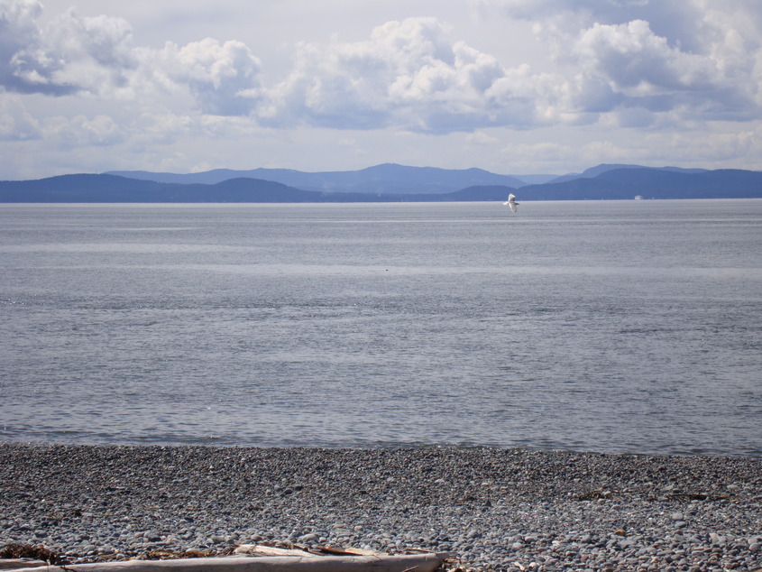 Point Roberts, WA: Pt Roberts view of the islands