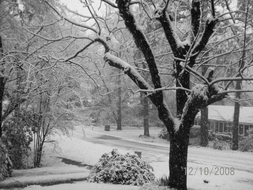 Mendenhall, MS: Snow day last Christmas... right in the town of mendenhall