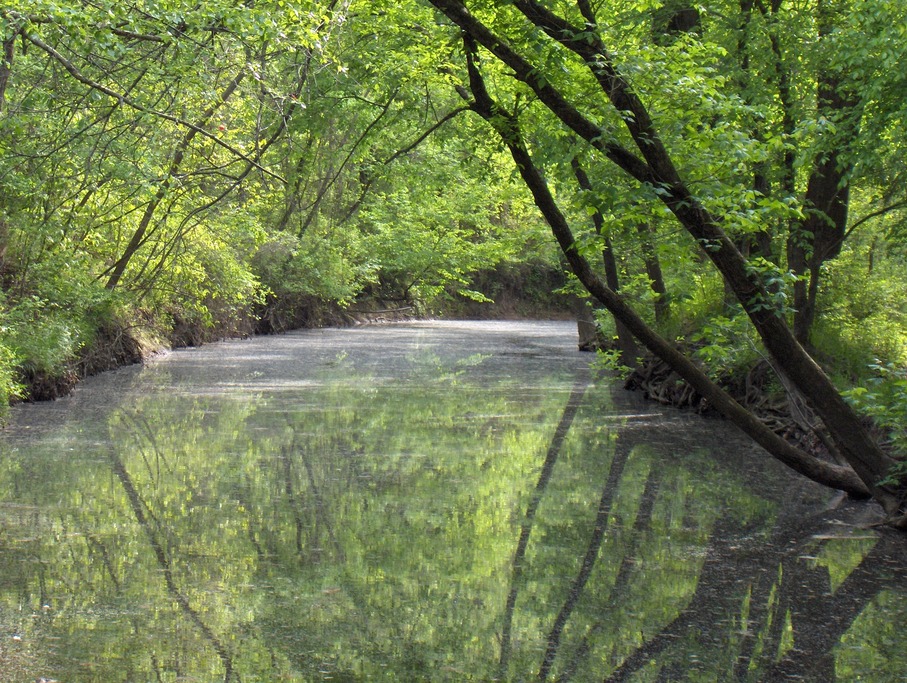 Joplin, MO: Silver Creek in Wildcat Park