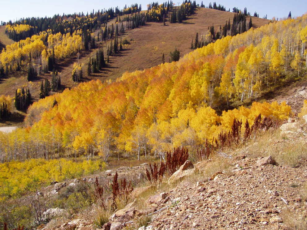 Huntsville, UT Powder Mountain fall colors photo, picture, image