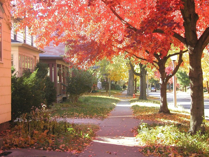 Urbana, IL: Illinois Street in Fall