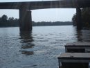 North Augusta, SC: Docks at The Landing beside the Savannah River looking towards 13th St. bridge