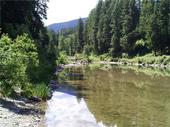 Trout Creek, MT: Off Highway 200 in Trout Creek